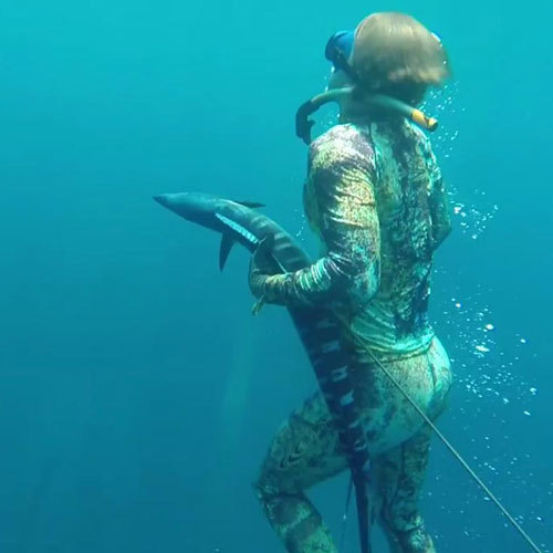 Spearfishing - Hannibal Lodge Panama adventure hostel adventure hotel