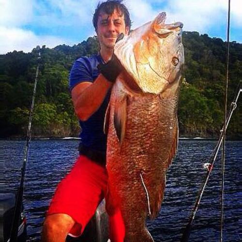 Spearfishing - Hannibal Lodge Panama adventure hostel adventure hotel