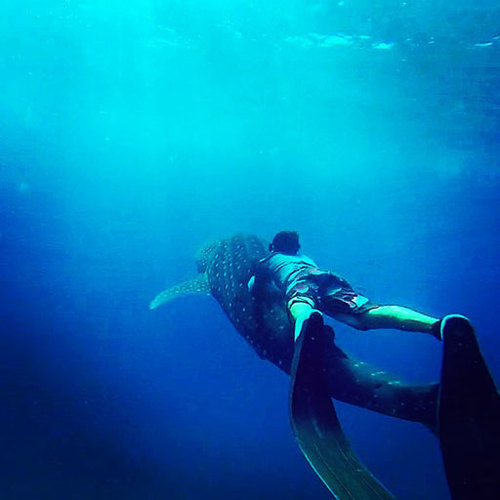 Hannibal Lodge Panama, Adventure Hostel - Coiba Island Tour