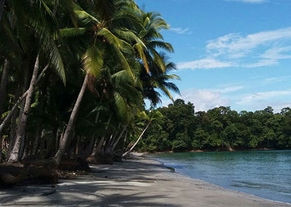 Coiba Island Tours adventure hostel