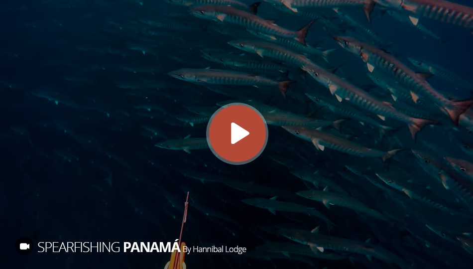 Hannibal Lodge Panama Excursion - Hypoxia HD Spearfishing Video