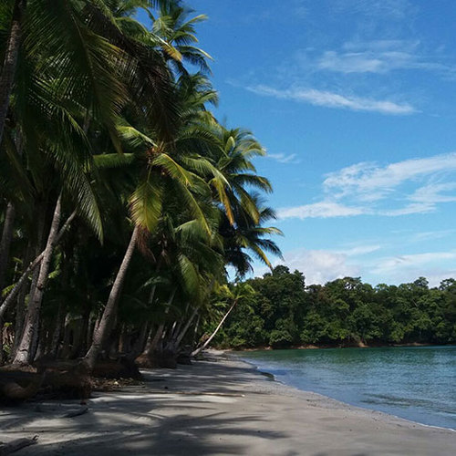 Hannibal Lodge Panama, Adventure Hostel - Coiba Island Tour