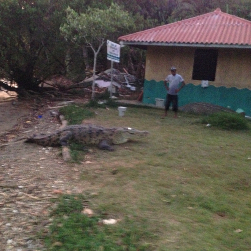 Hannibal Lodge Panama, Adventure Hostel - Coiba Island Tour