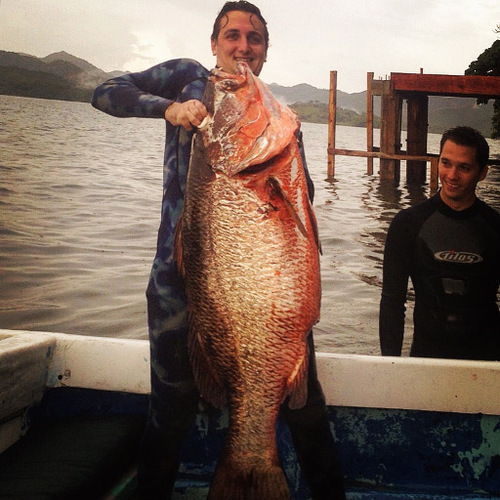 Hannibal Lodge Panama, Adventure Hostel - Coiba Island Tour